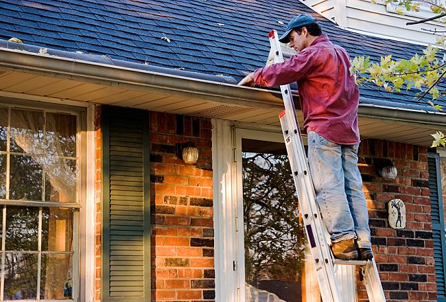 Roof and Gutter Services