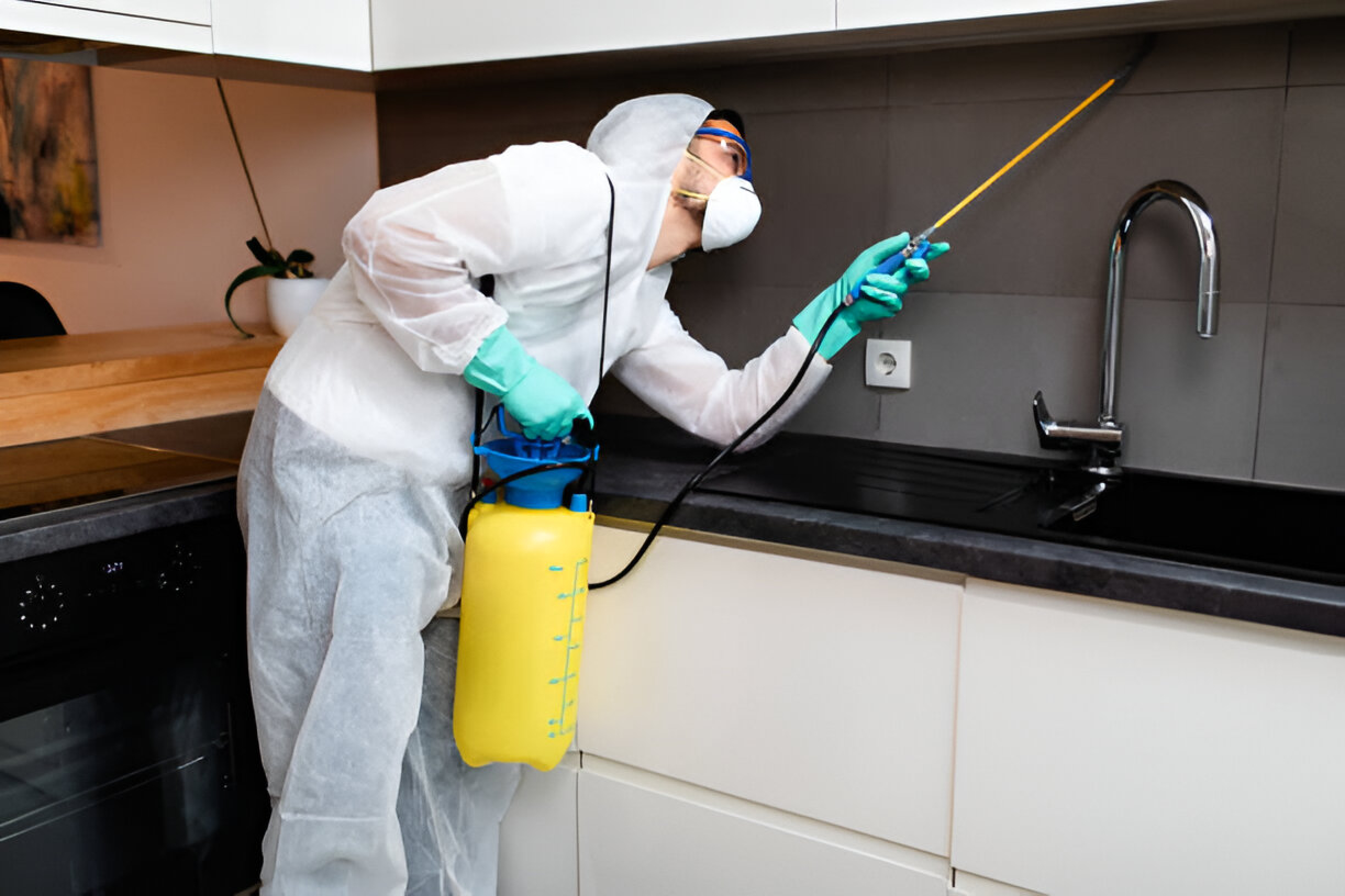 Deep-Designer Pest Control Services